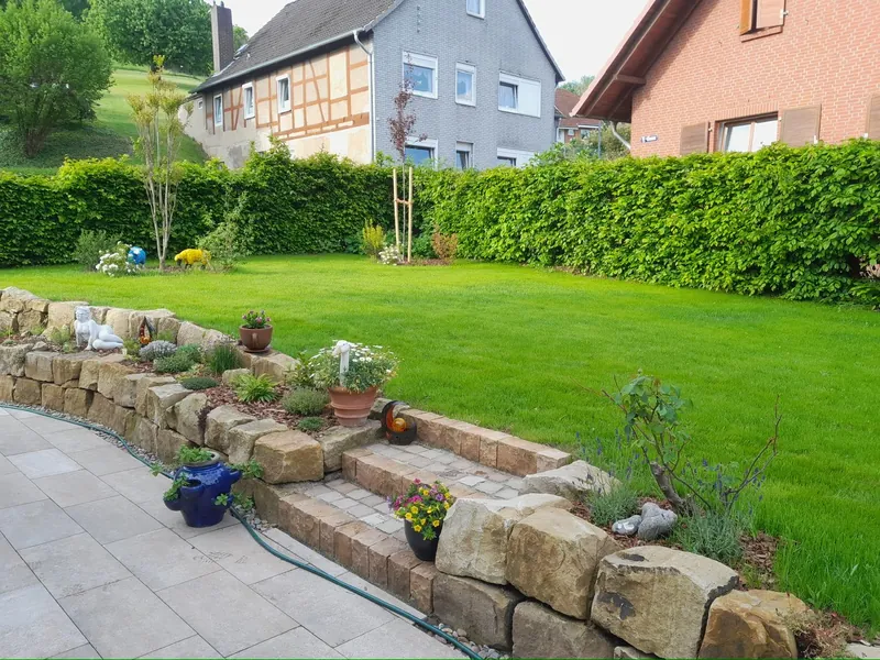 Raseneinsaat und Fertigrasen